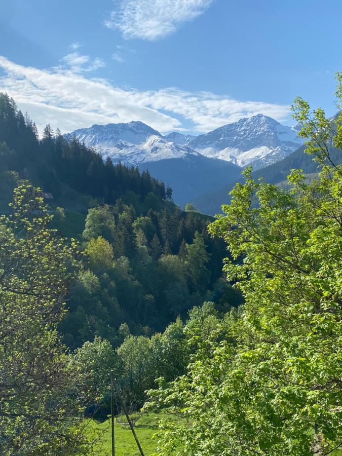 Bambi Lodge Ferienwohnung Auf Knapp 1400 M Nahe Arosa Peist Luaran gambar