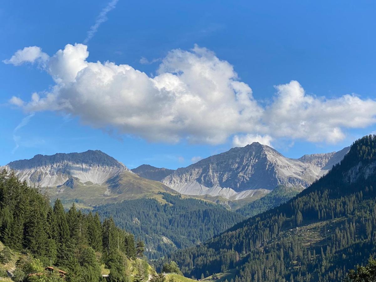 Bambi Lodge Ferienwohnung Auf Knapp 1400 M Nahe Arosa Peist Luaran gambar