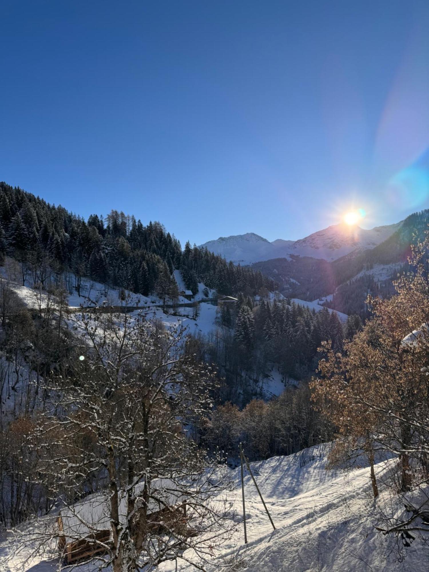 Bambi Lodge Ferienwohnung Auf Knapp 1400 M Nahe Arosa Peist Luaran gambar