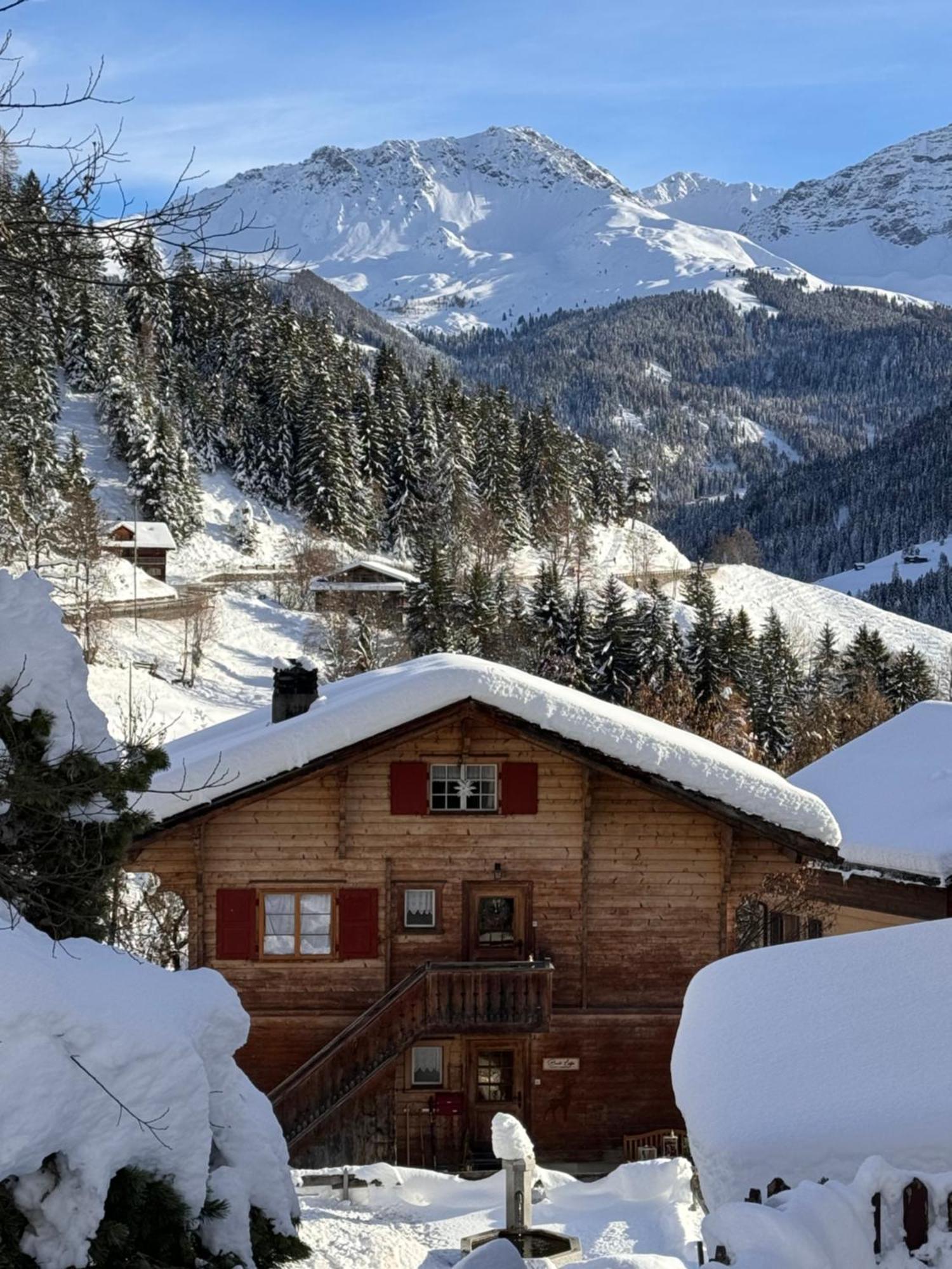 Bambi Lodge Ferienwohnung Auf Knapp 1400 M Nahe Arosa Peist Luaran gambar